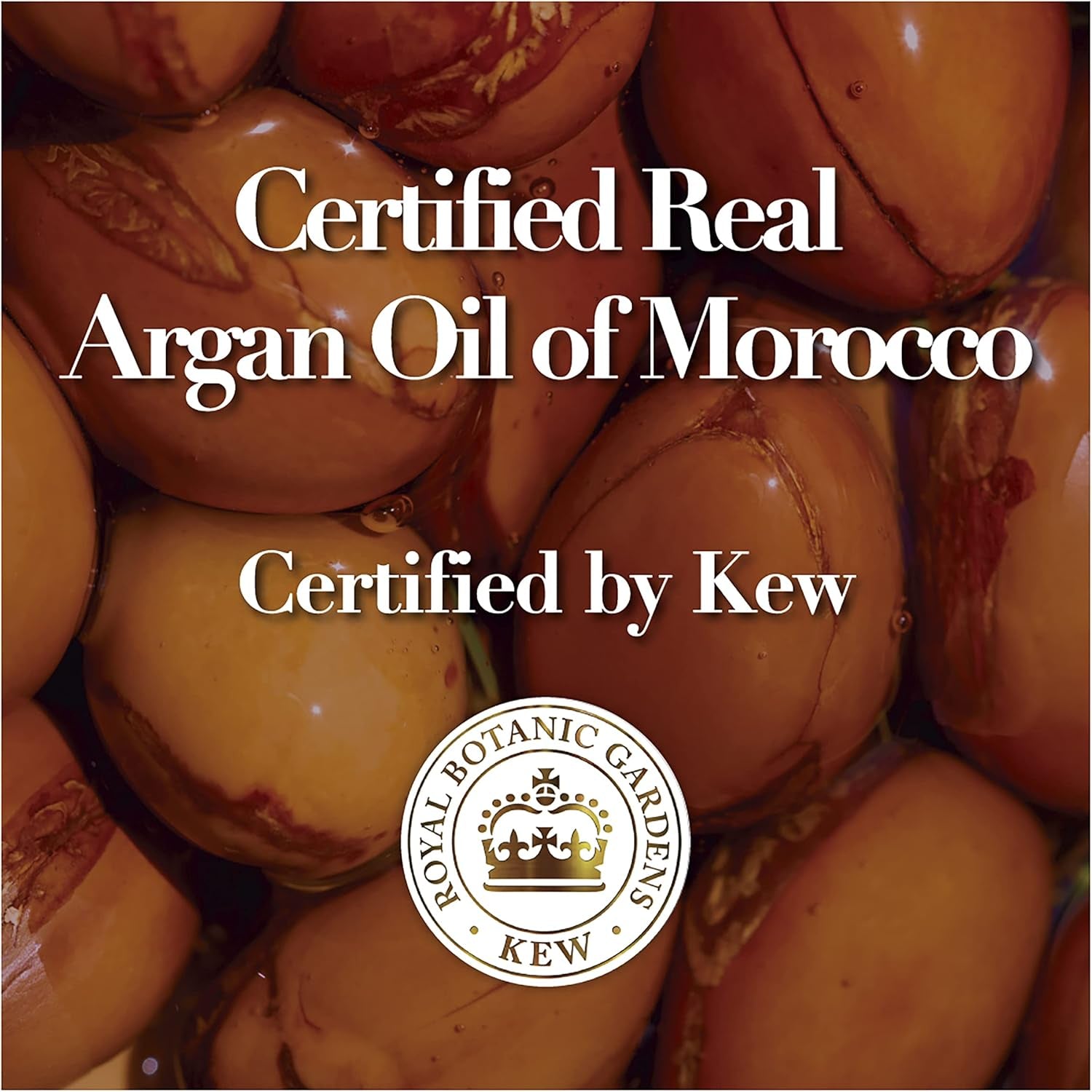 Bio Renew Repair Argan Oil of Morocco Shampoo, 600Ml